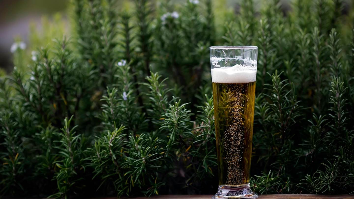 Τι πραγματικά κάνει το αλκοόλ στην πρόοδό σου από το γυμναστήριο