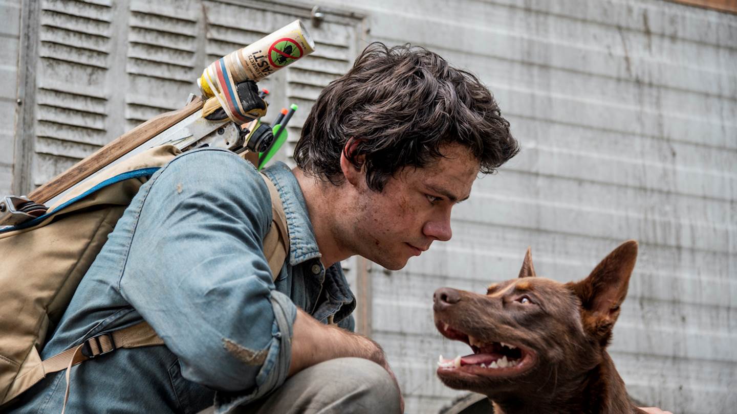 Οι καλύτερες ταινίες του Netflix αυτή τη στιγμή