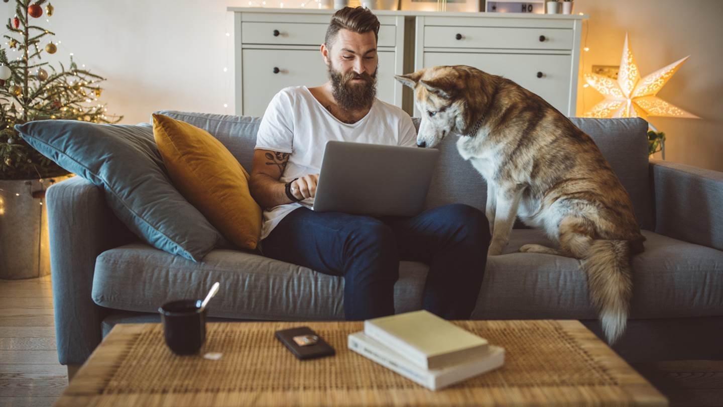 Δουλειά από το σπίτι, ένας σύντομος οδηγός επιβίωσης