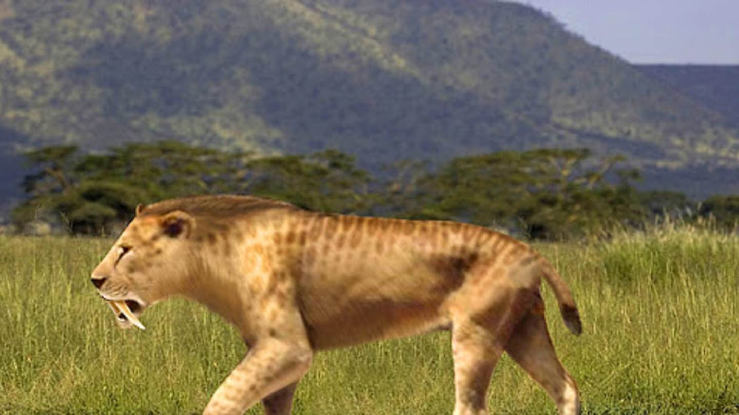 Ίσως βρέθηκε η μεγαλύτερη γάτα στην ιστορία