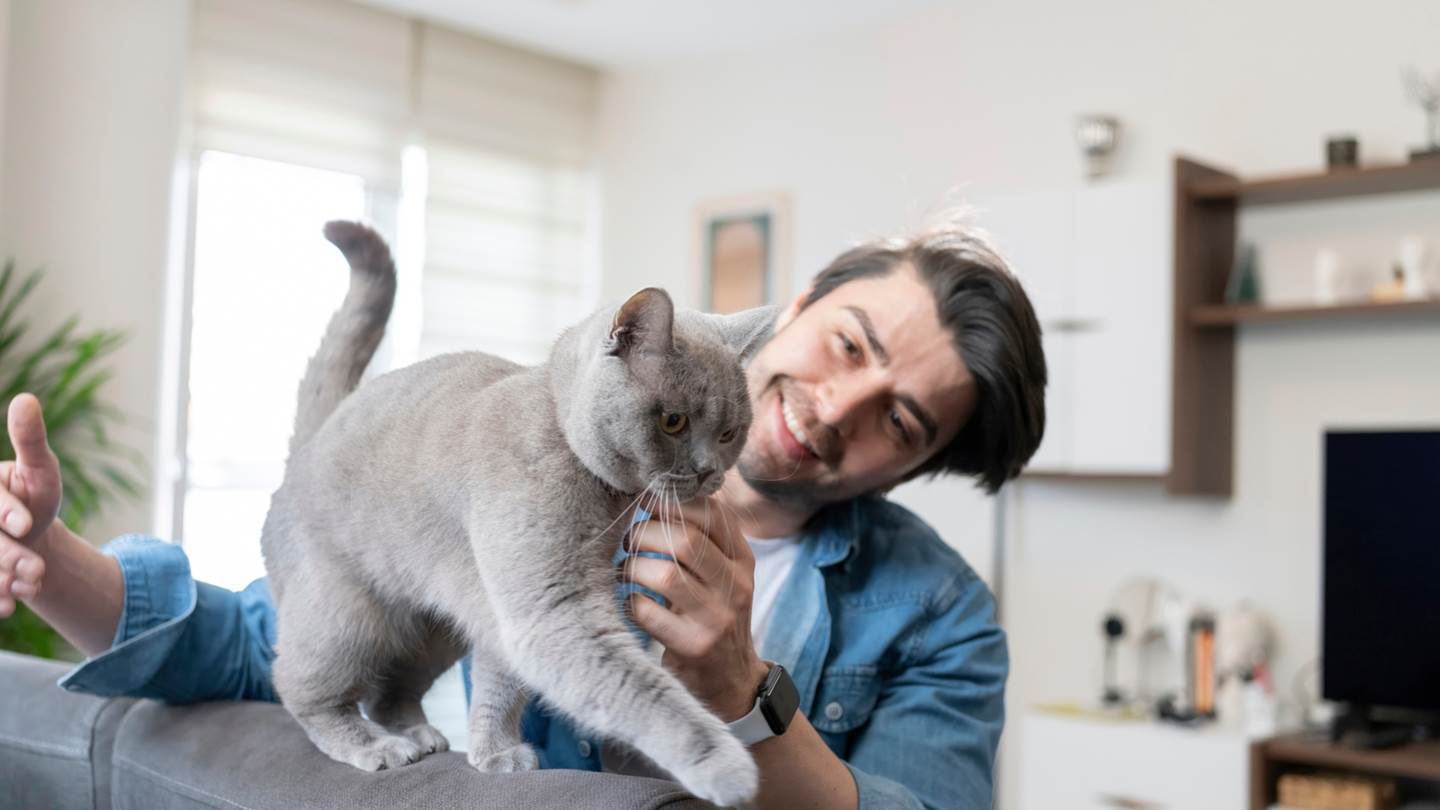 Πώς μία γάτα μπορεί να αλλάξει τον εγκέφαλό σου