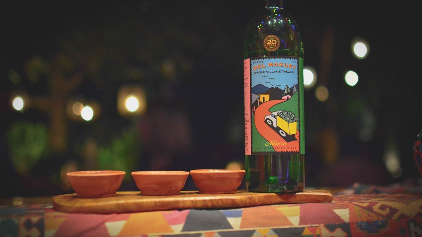 Ο αθηναϊκός παράδεισος της αγαύης βρίσκεται σε μια αυλή του Χαλανδρίου