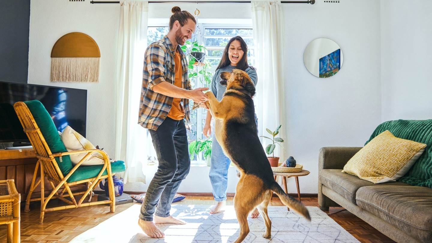 My Pet My Home: Ενέργεια για ό,τι νιώθεις οικογένειά σου