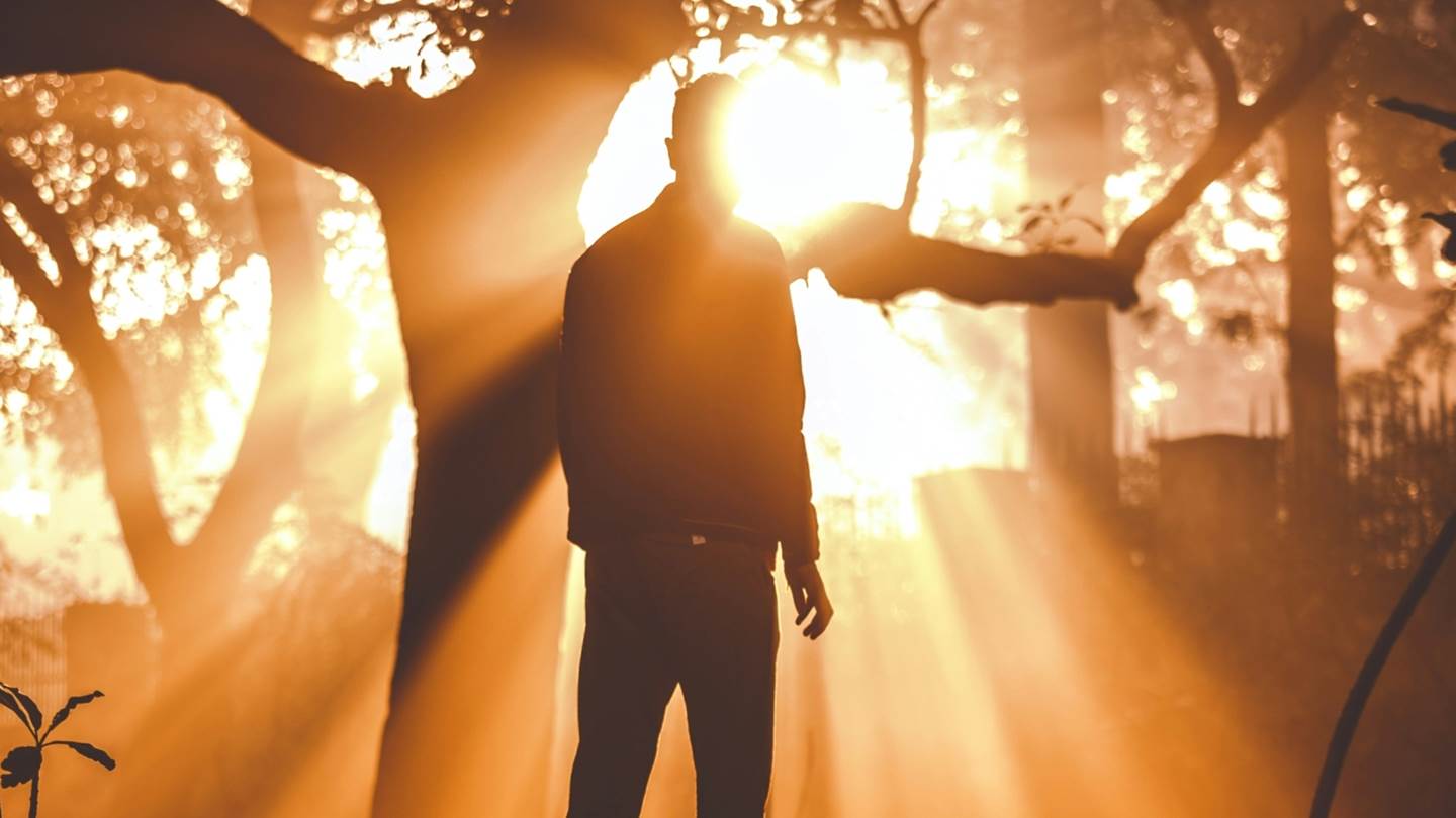 Το φως της ζωής - Η σημαντική ανακάλυψη επιστημόνων στον Καναδά