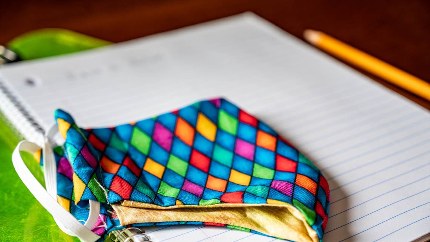 Γυμνάσια και Δημοτικά παραμένουν κλειστά έως και το Πάσχα