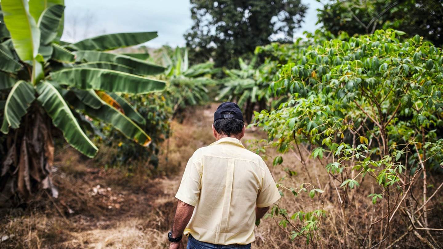 Ο νέος καφές της Nespresso έρχεται από τα Νησιά Γκαλαπάγκος
