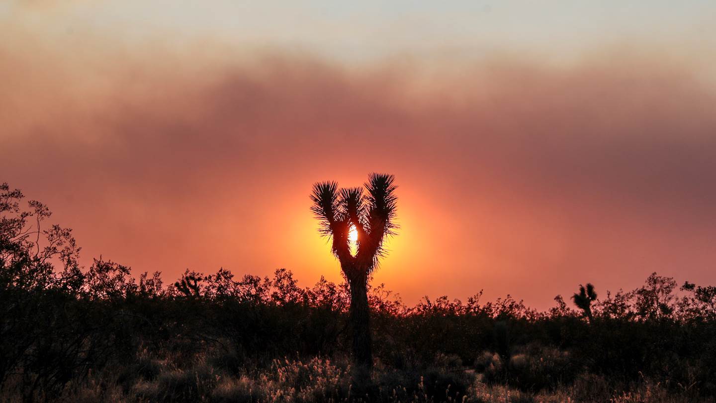 Καταστροφές ρεκόρ στην Καλιφόρνια από τις φετινές πυρκαγιές