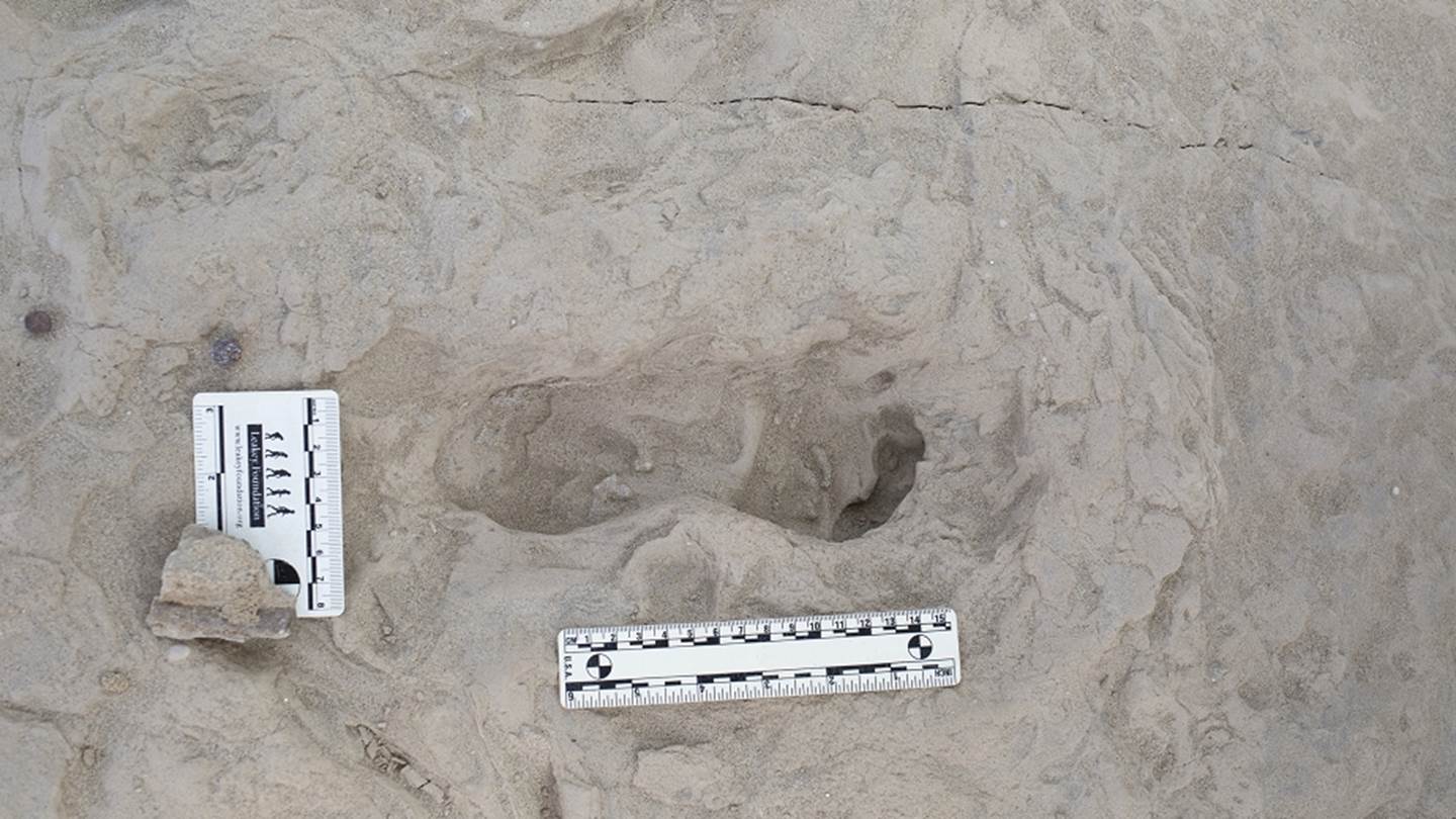 Μεγάλη ανακάλυψη: Δύο είδη ανθρωπίνων ζούσαν μαζί πριν 1,5 εκατ. χρόνια