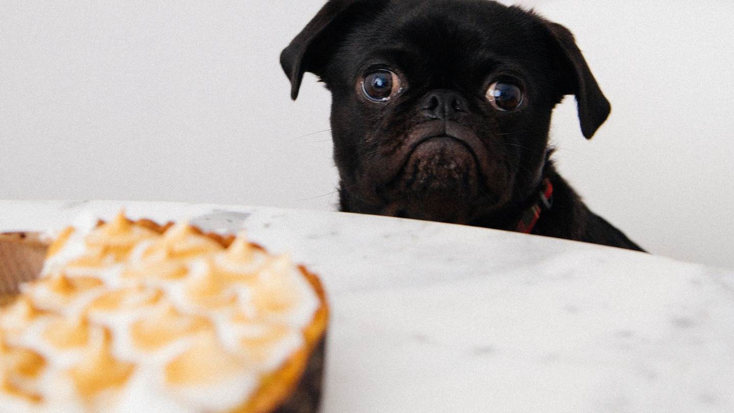 Η νηστεία που όλοι πρέπει να ακολουθήσουμε