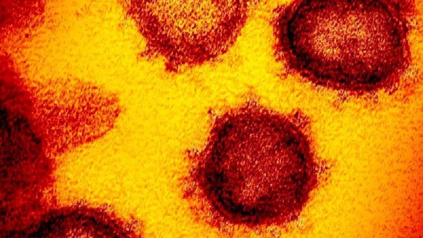 Πώς συμπεριφέρεται ο κορονοϊός στον οργανισμό, σύμφωνα με έναν ειδικό