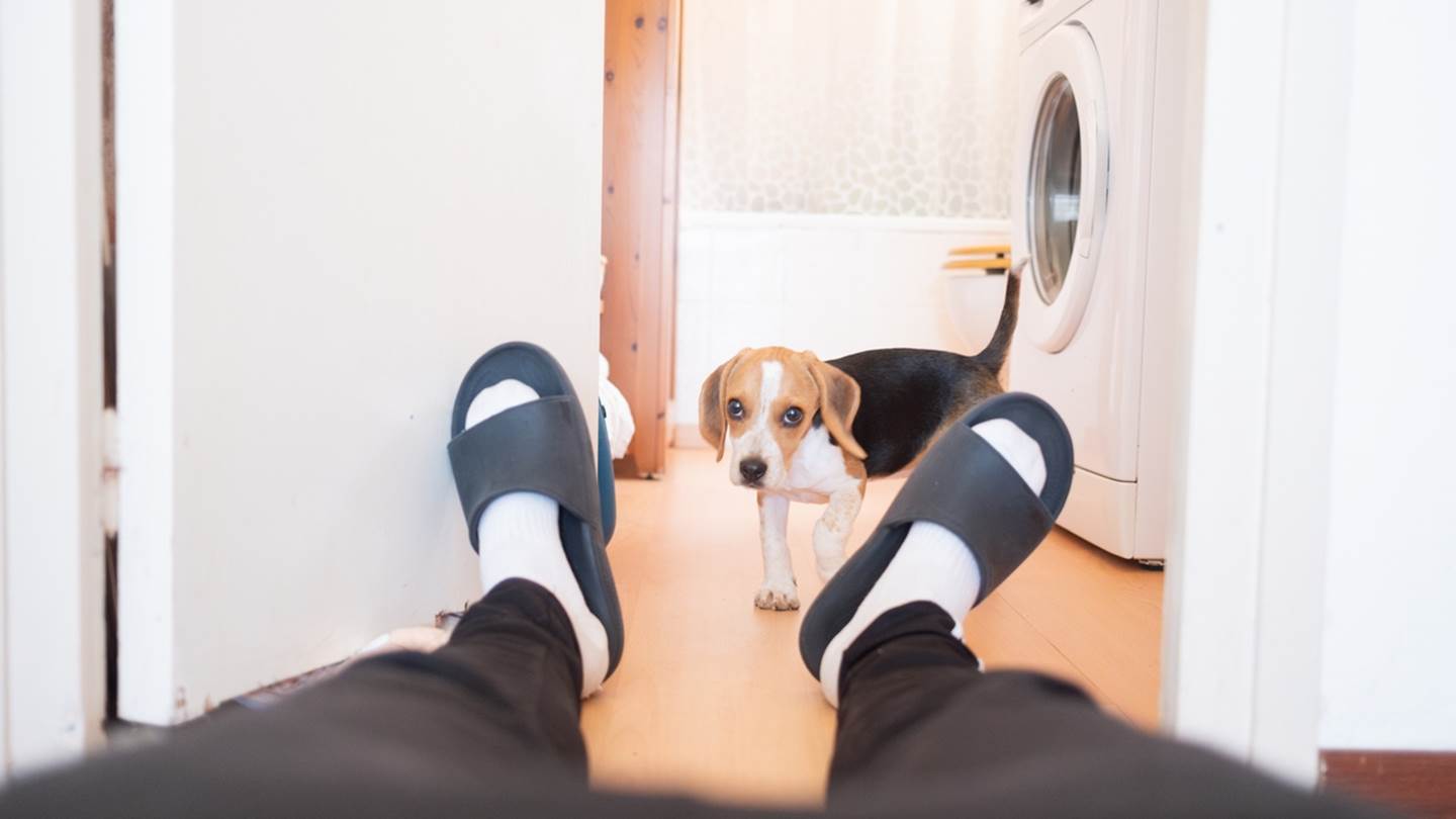 Πώς μπορείς να κάνεις το σπίτι σου να φαίνεται μεγαλύτερο