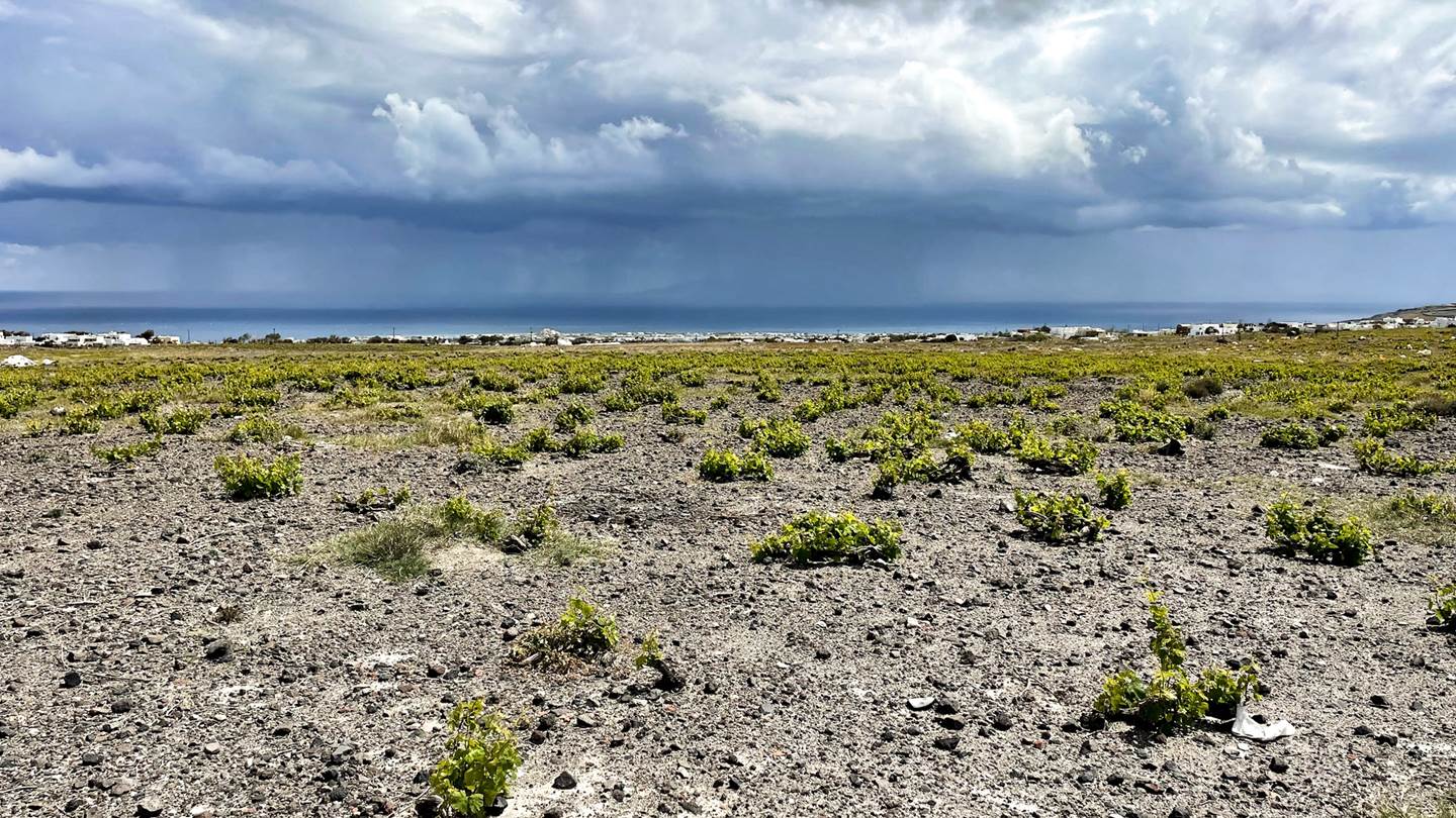 ΟΕΝΟ Π, ένας μοναδικός έρωτας για το κρασί που έγινε θαυμάσιο οινοποιείο