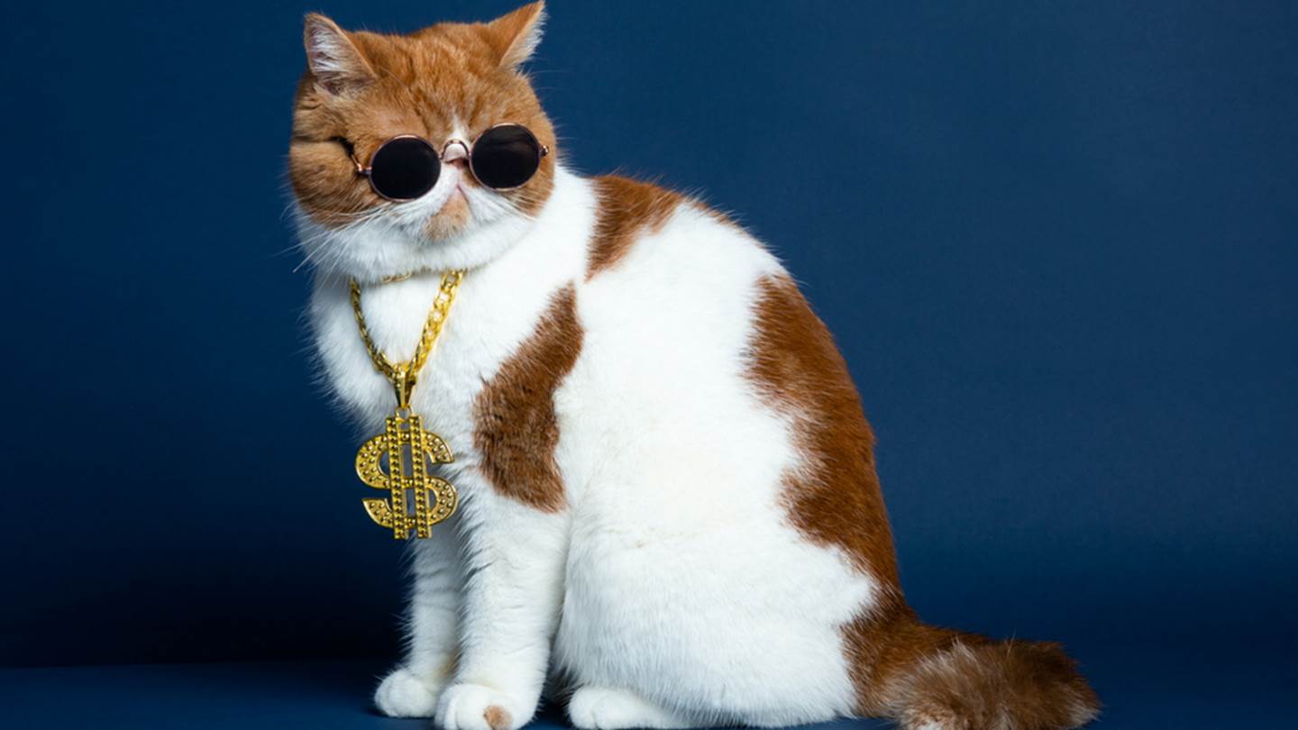 Τα πλουσιότερα και πιο επιδραστικά κατοικίδια ζώα στον κόσμο