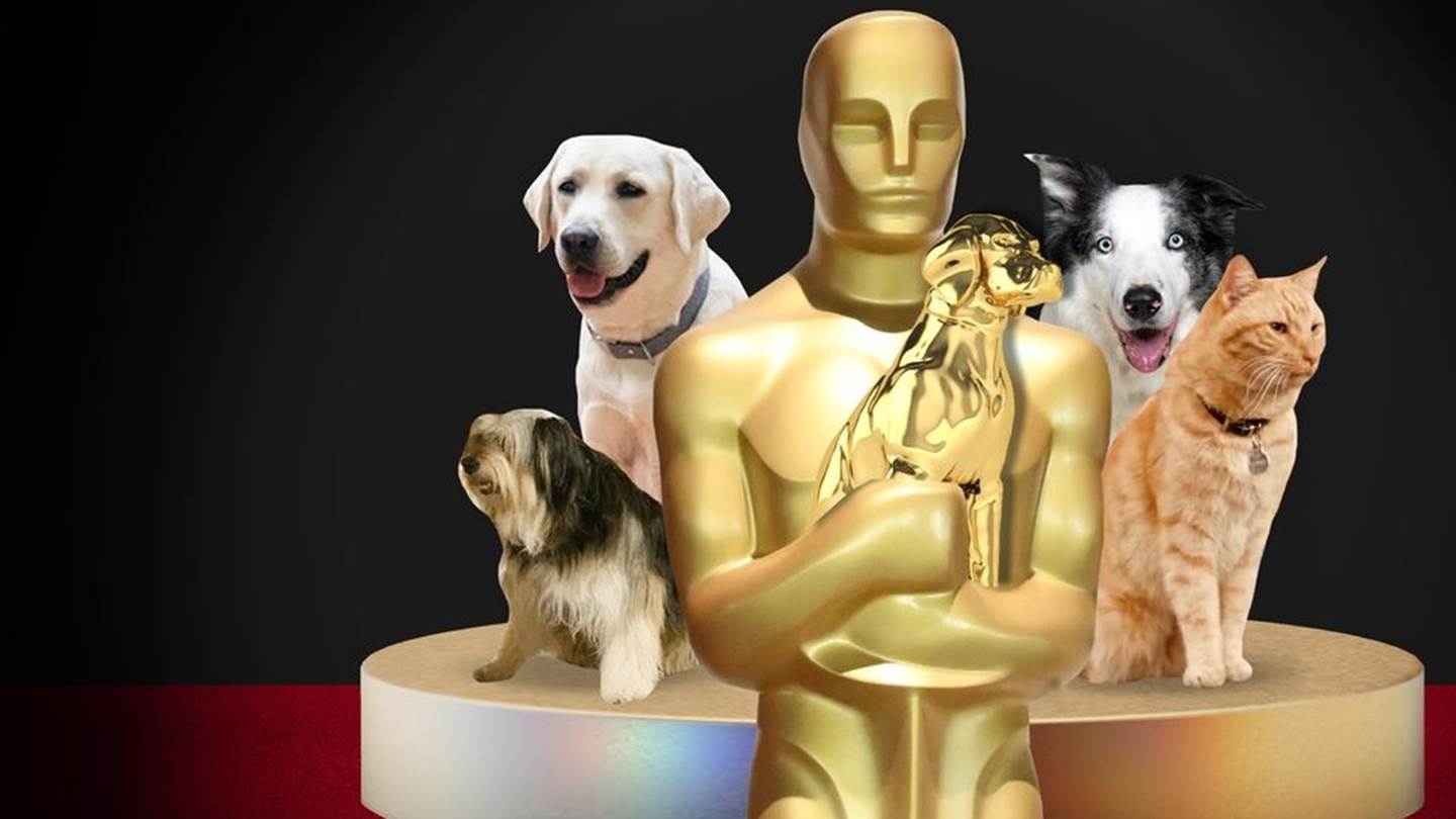 Τετράποδοι και μη, πρωταγωνιστές που αξίζουν βραβείο Όσκαρ