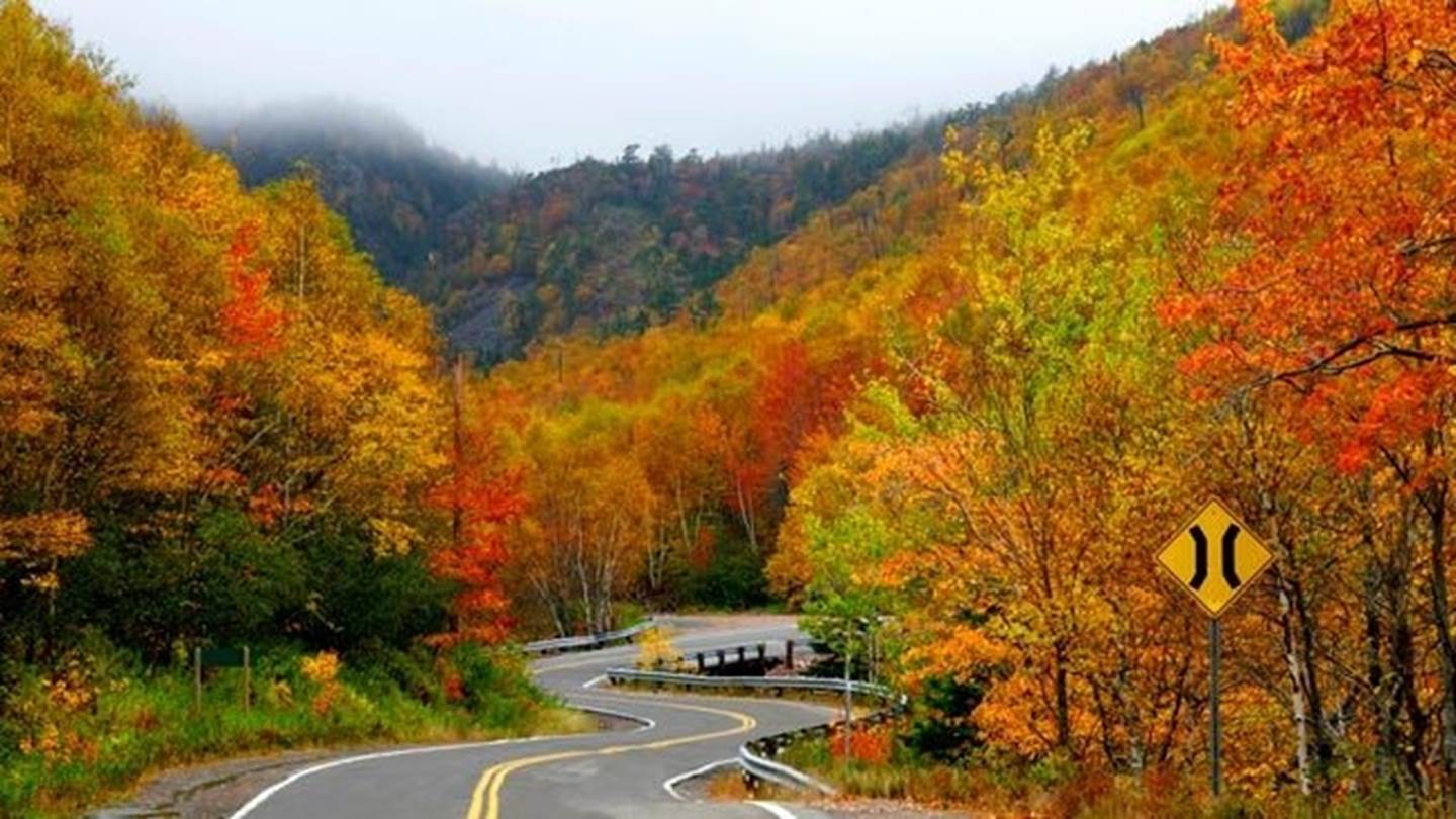 Αυτός είναι ο πιο όμορφος δρόμος στον κόσμο