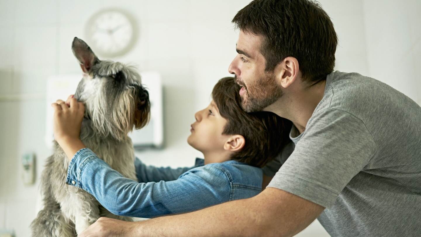 Αυτές είναι οι ράτσες σκύλων που ζουν περισσότερο