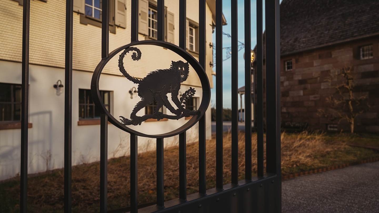 Monkey 47: Το μυστικό του Μέλανα Δρυμού