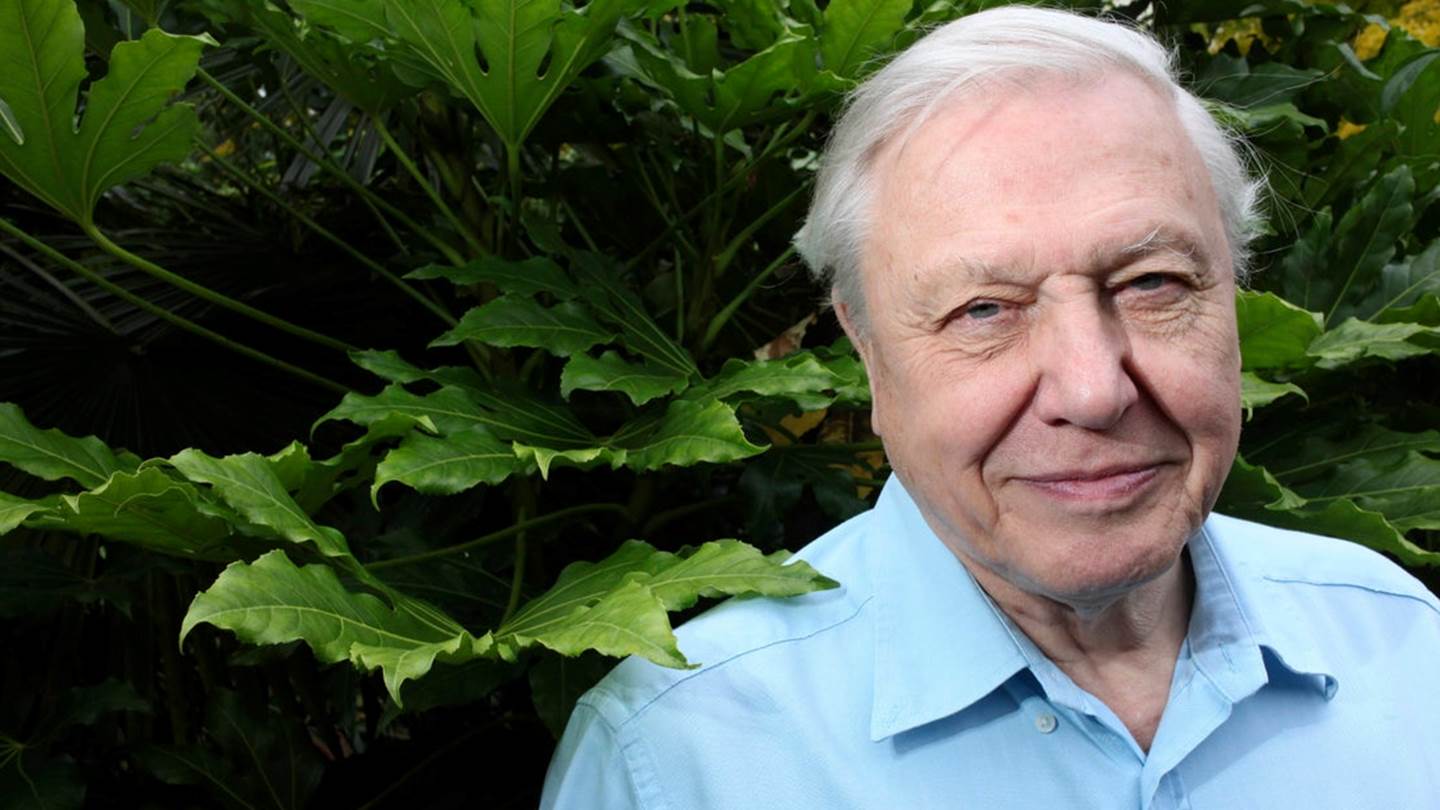 O David Attenborough είναι αισιόδοξος για το περιβάλλον