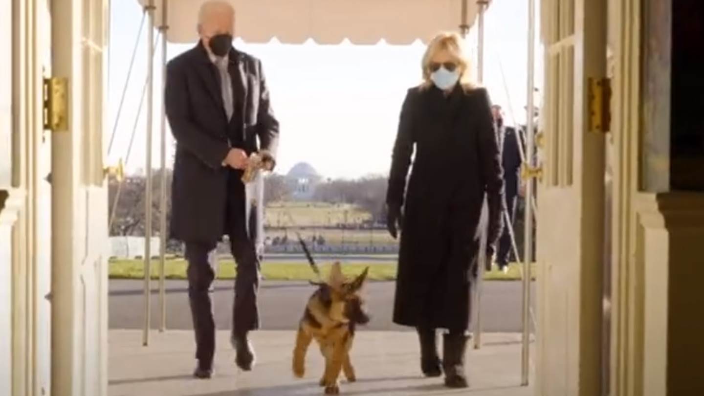 Τα κατοικίδια των Προέδρων και των Πρωθυπουργών