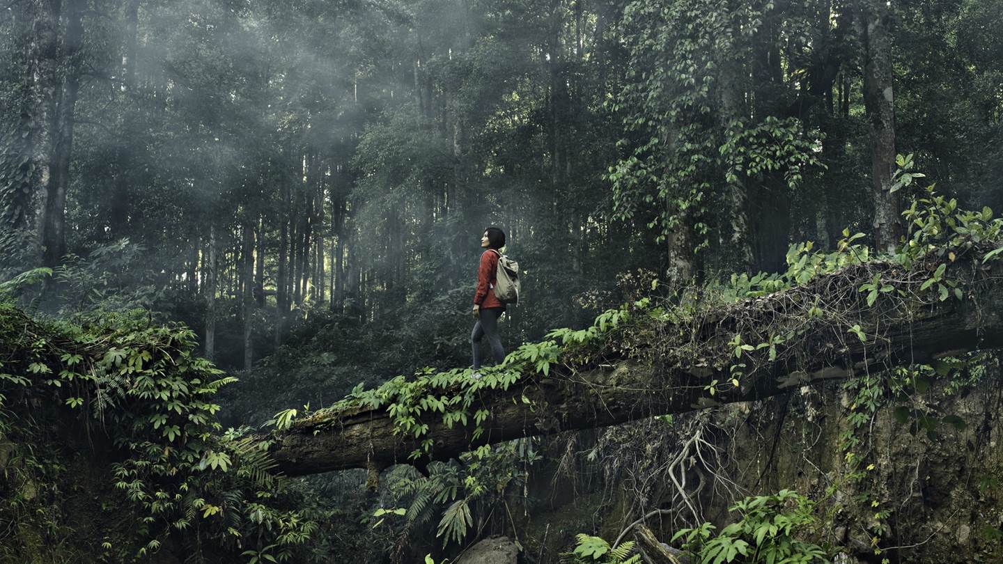 Η Ινδονησία κατασκευάζει νέα πρωτεύουσα μέσα στην ζούγκλα