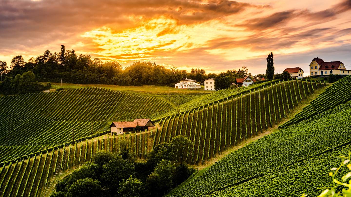 Τα 100 κορυφαία οινοποιεία του κόσμου για το 2020