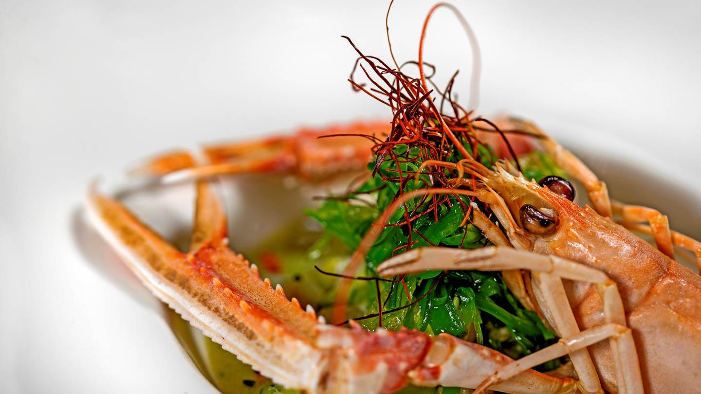 Ακροβόλι: Εκλεκτή ψαροφαγία στα νότια προάστια