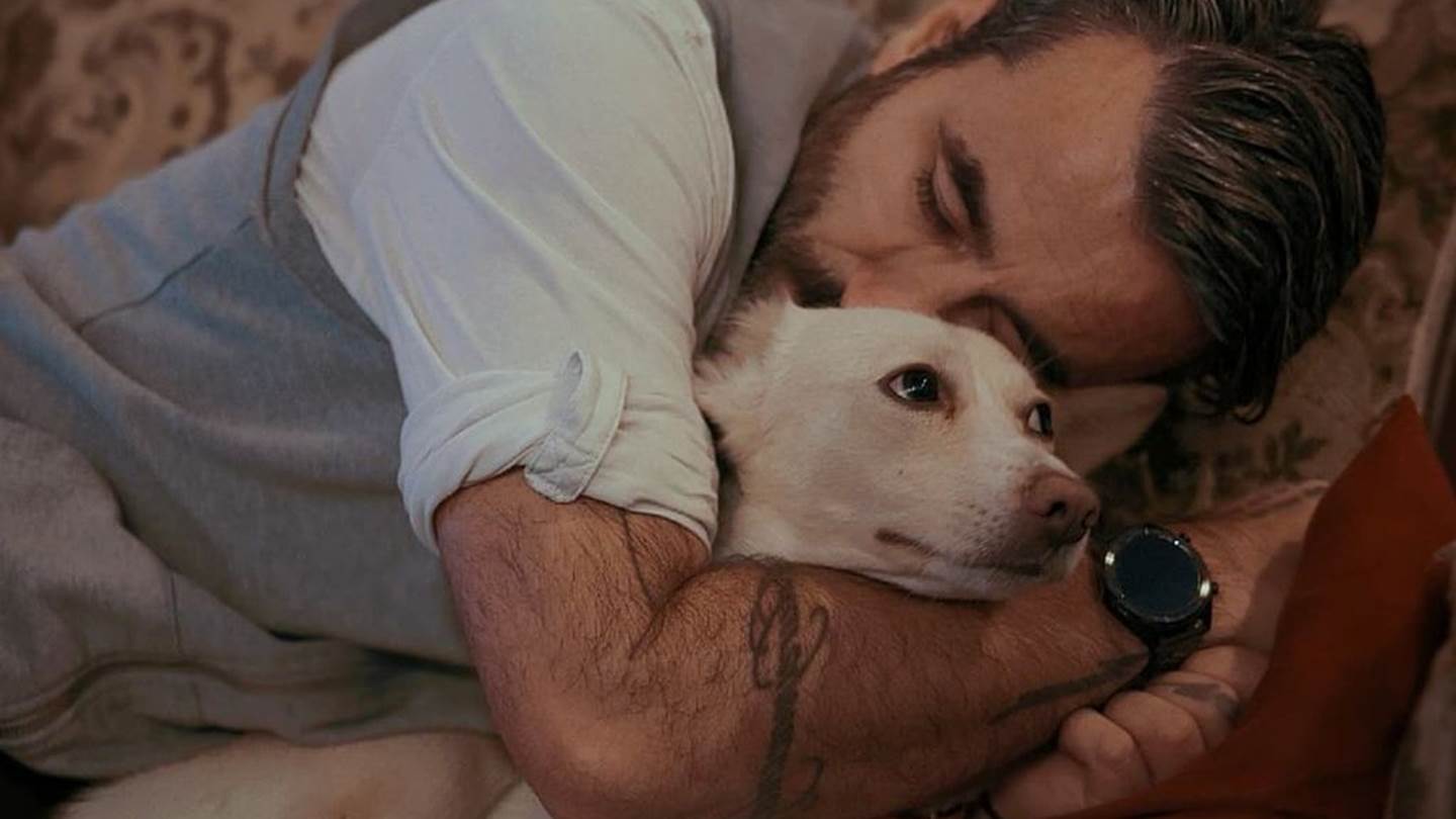 5 αδέσποτες ιστορίες