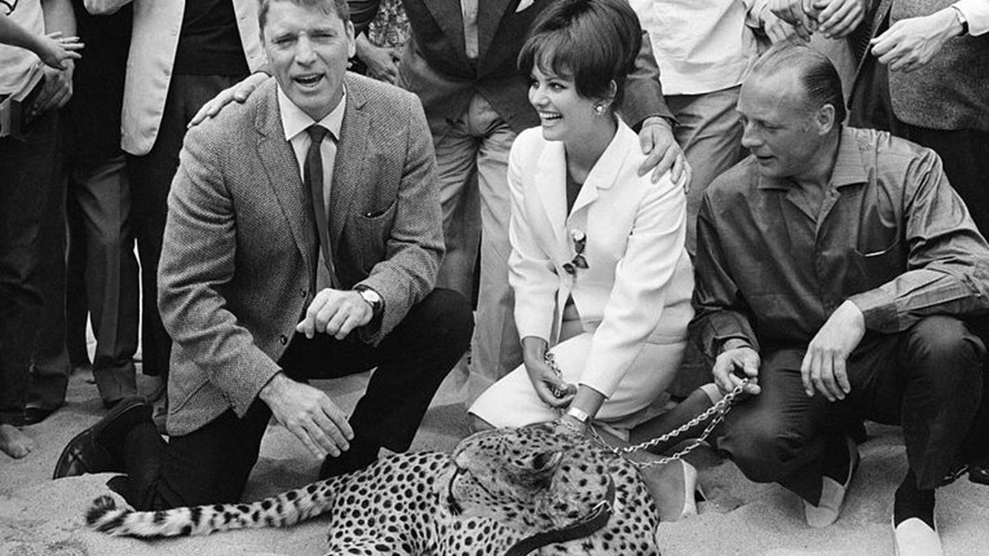 We Are One: Τα μεγαλύτερα κινηματογραφικά φεστιβάλ ενώνουν δυνάμεις στο YouTube