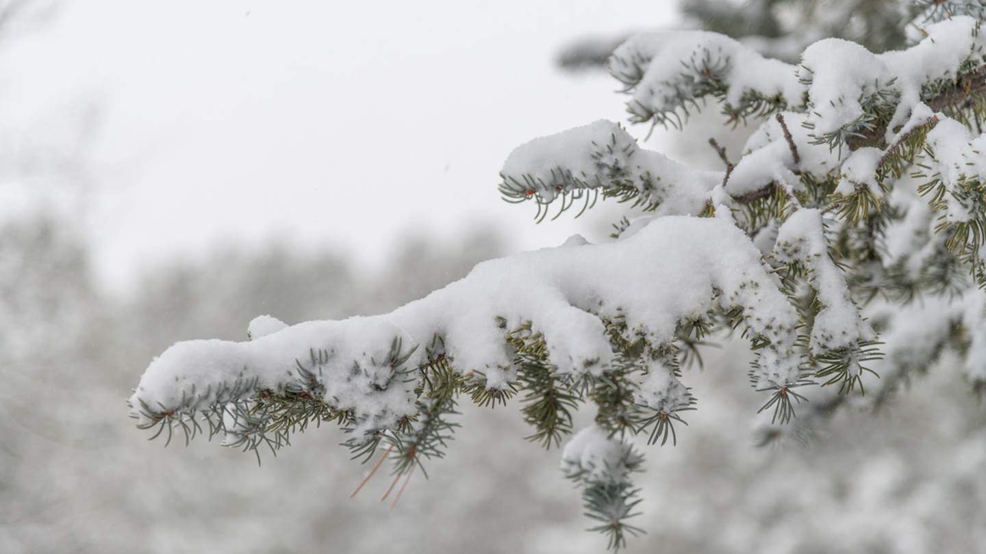 Γιατί ο Μάρτιος ήταν ψυχρότερος από τους μήνες του χειμώνα