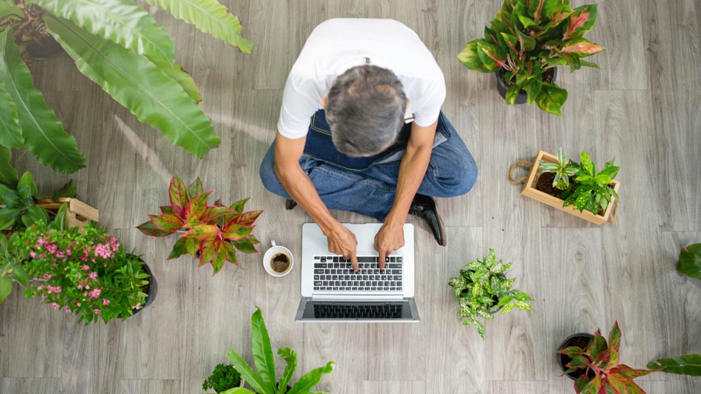 Γιατί πρέπει να βάλεις περισσότερα φυτά στο σπίτι σου