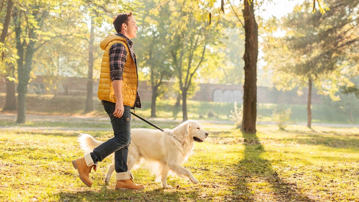 Τα οφέλη μίας απλής βόλτας είναι πολλά περισσότερα από ό,τι νομίζεις