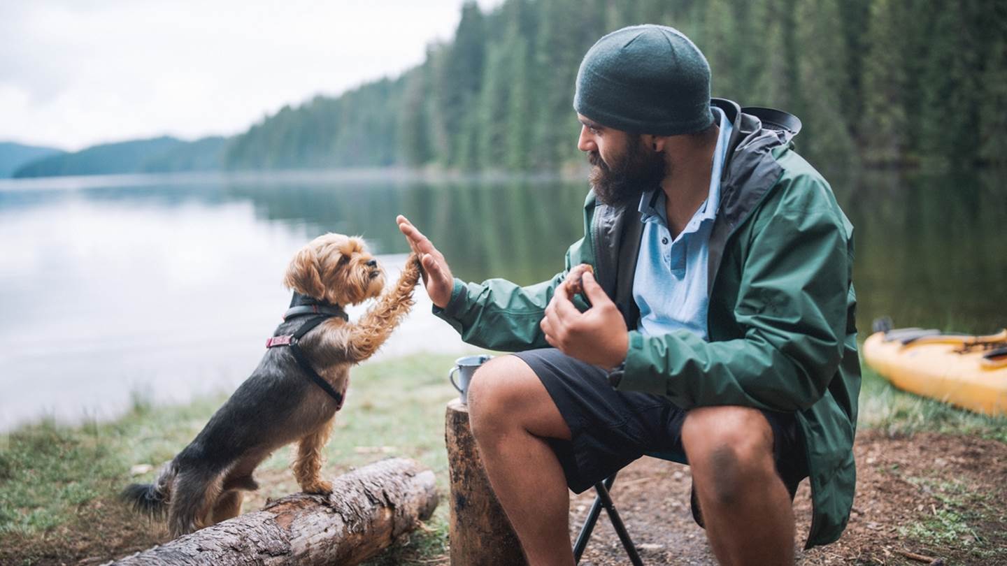 Τα σκυλιά μοιάζουν πραγματικά με τους ιδιοκτήτες τους, λέει η επιστήμη
