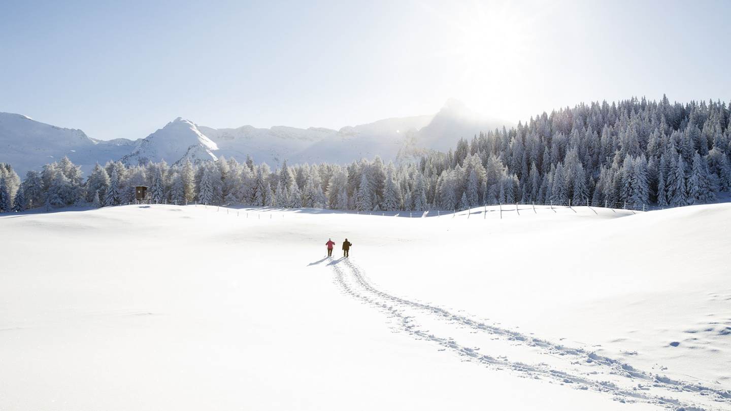 Τρόποι για να αντιμετωπίσεις την κατάθλιψη του χειμώνα