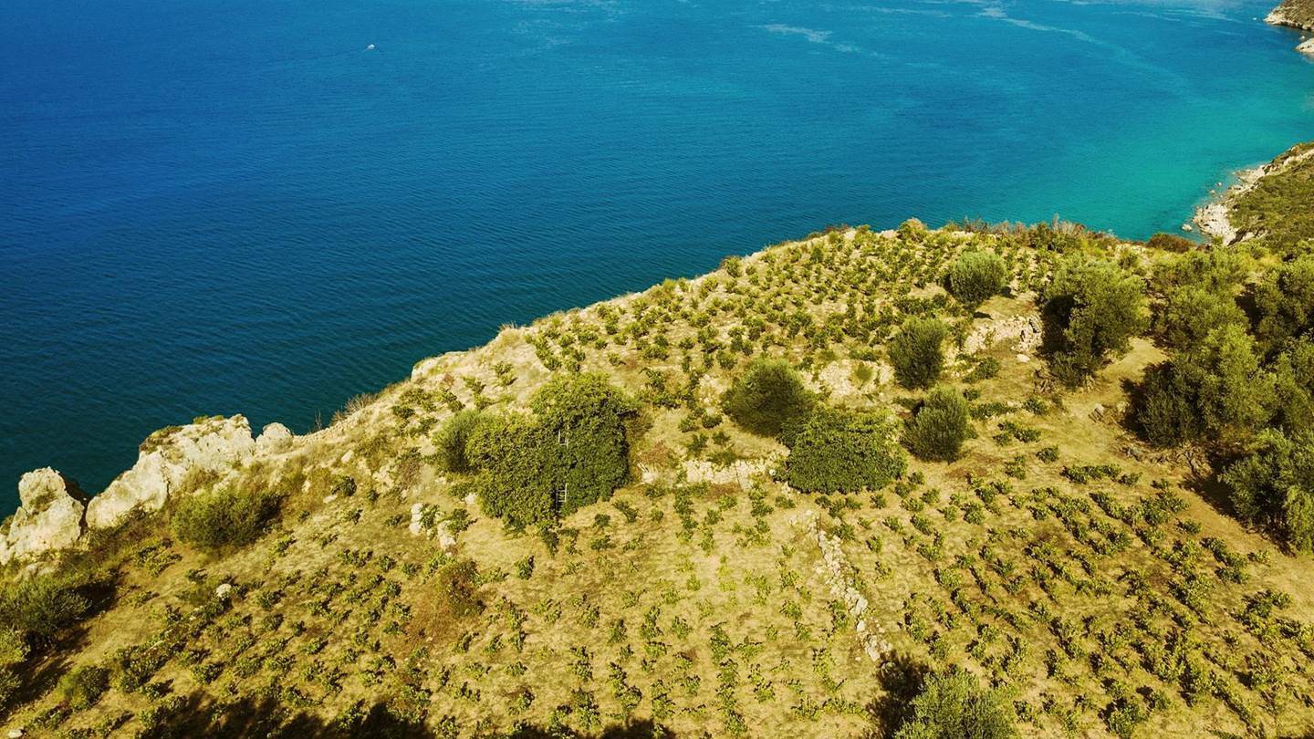 Ήρθε η ώρα να μιλήσουμε σοβαρά για το κρασί της Κεφαλονιάς