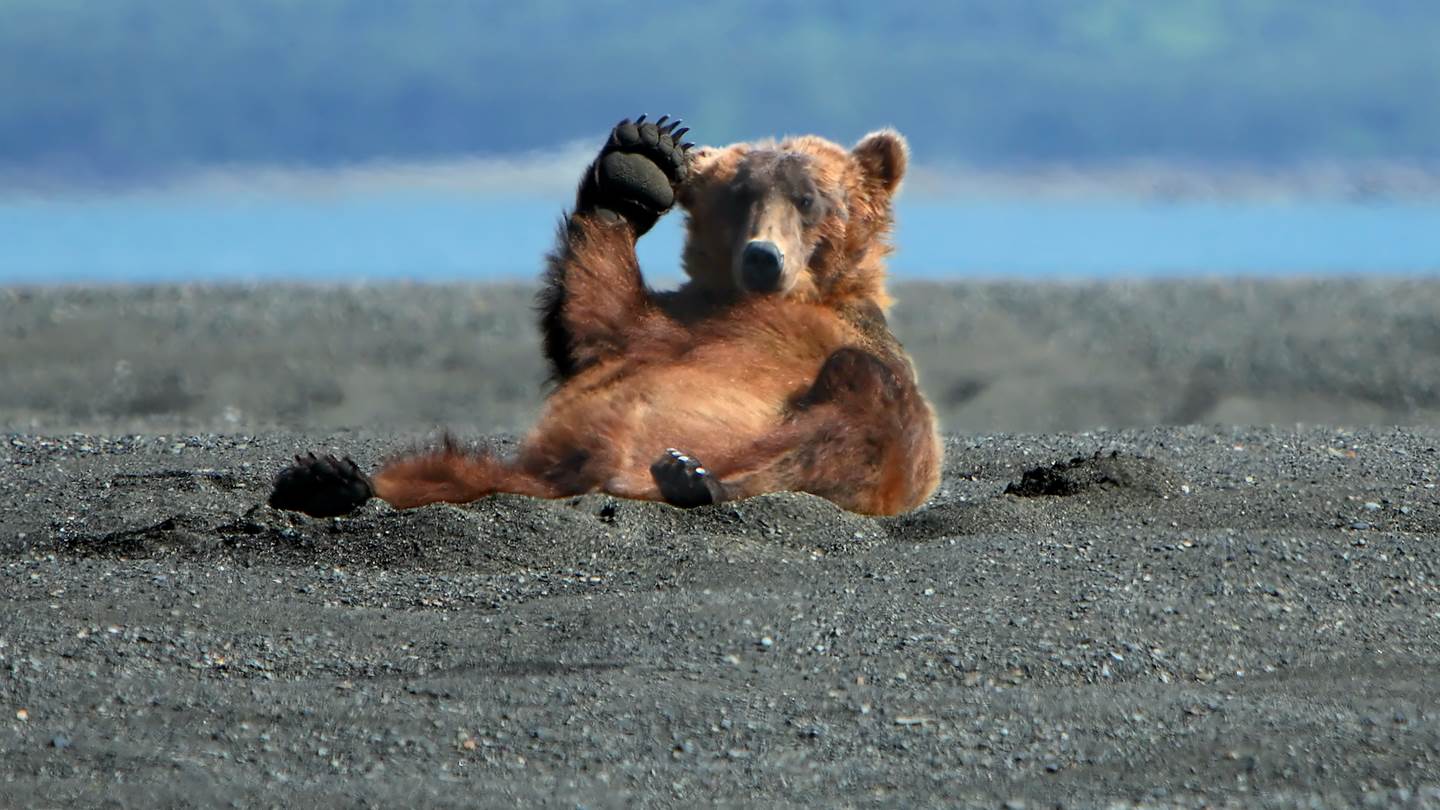 Οι καλές ειδήσεις μίας πολύ κακής χρονιάς