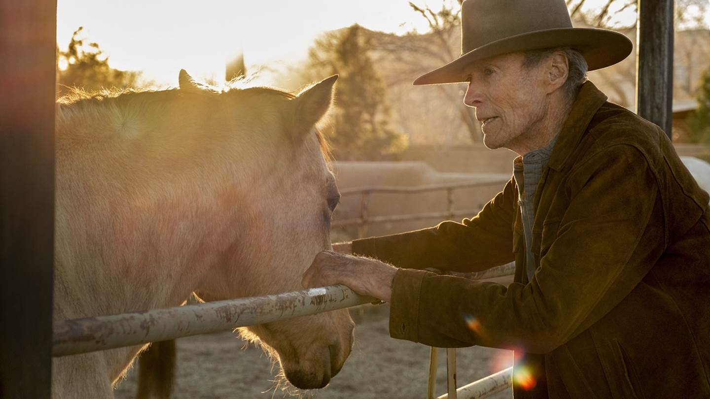 Το Cry Macho, ο Βασιλιάς Otto και ό,τι νέο έρχεται στα θερινά σινεμά