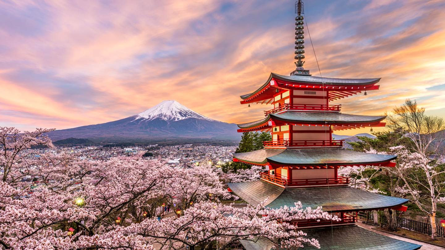 Το παράδοξο με τις κερασιές στην Ιαπωνία