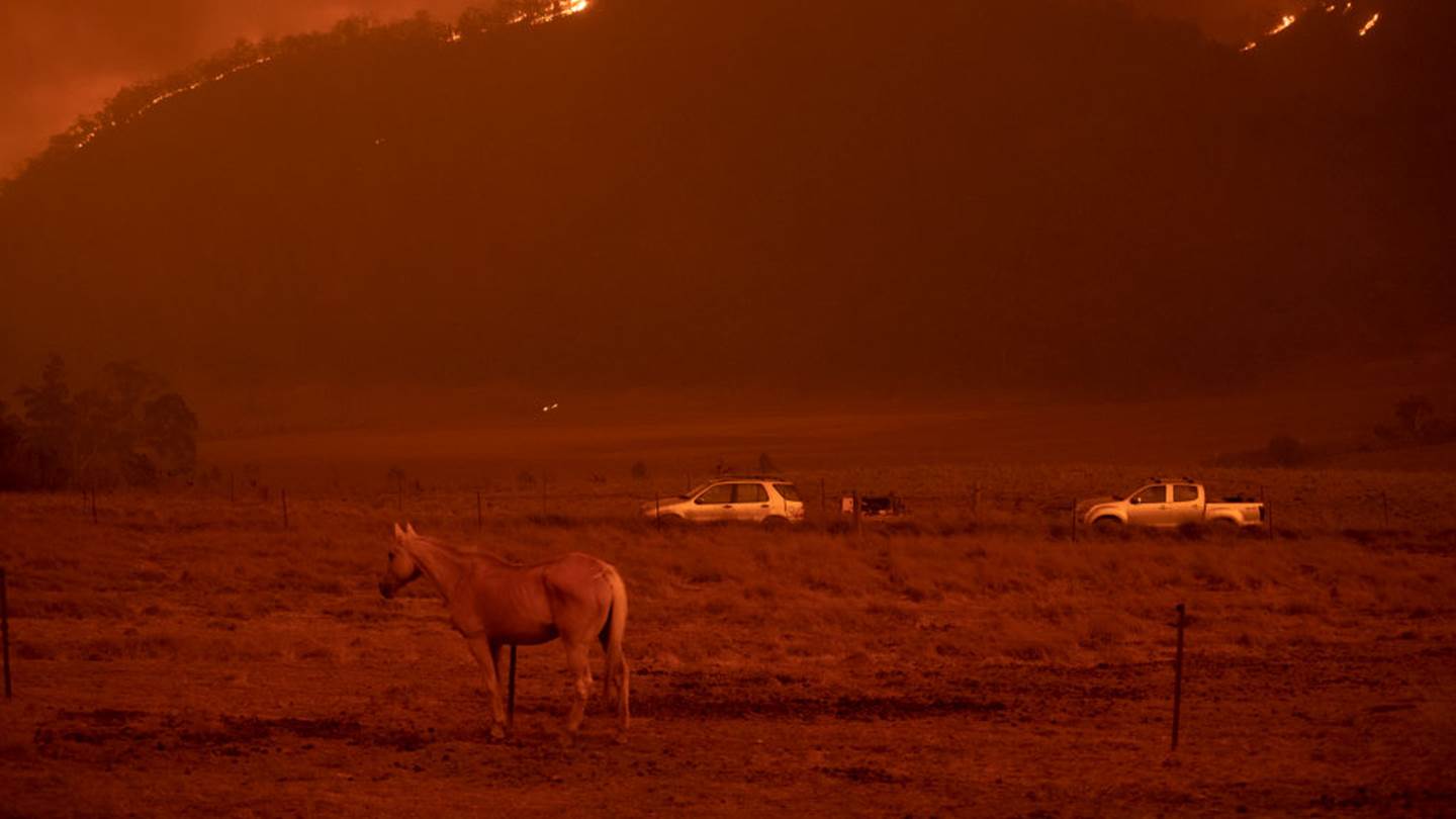 3 δισεκατομμύρια ζώα χάθηκαν στις πυρκαγιές της Αυστραλίας