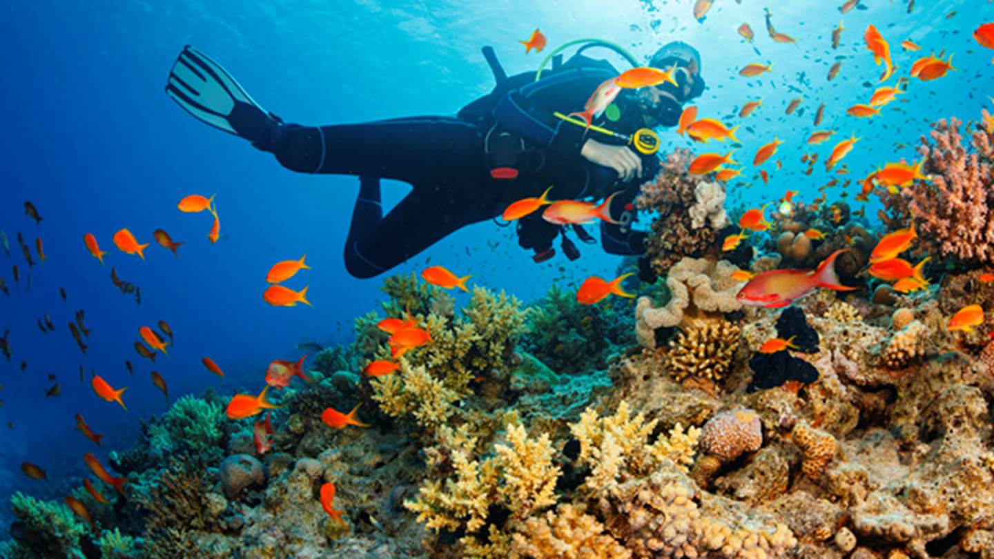 Tips για τέλειες καταδύσεις