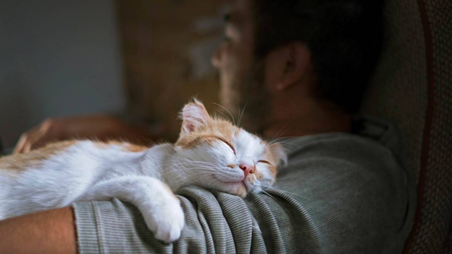 Πώς θα κοιμάσαι καλύτερα, σύμφωνα με το Harvard