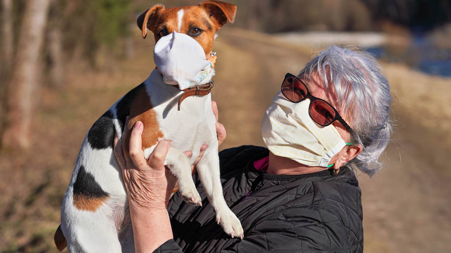 Η καλύτερη (και η χειρότερη) χώρα στη διαχείριση της πανδημίας μέχρι στιγμής