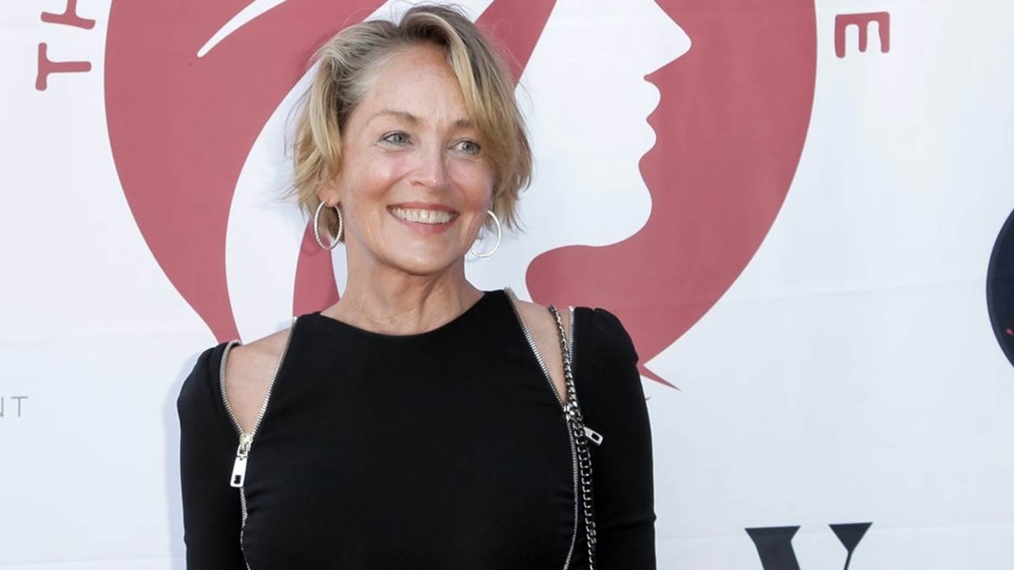 Μερικά εκατομμύρια likes για το μπικίνι της Sharon Stone