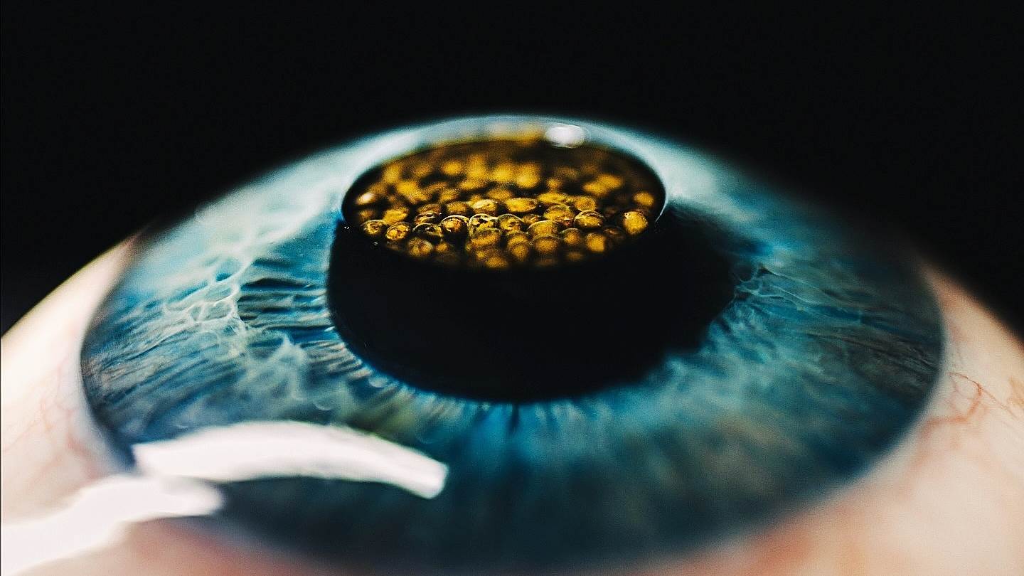 Τι μας αφήνει πίσω το 2025 σε μπαρ, εστιατόρια, φαγητό και ποτό