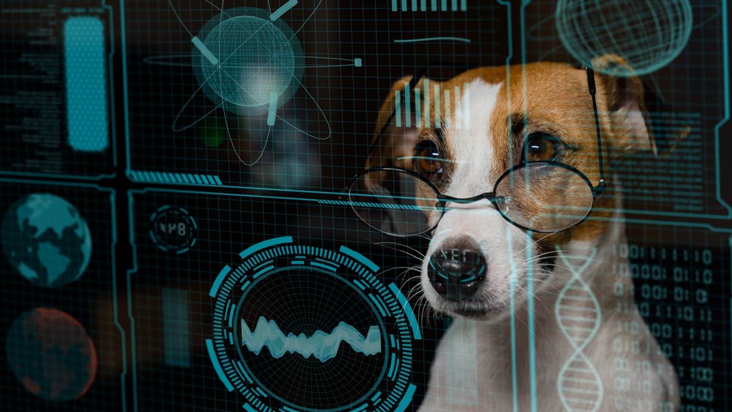 Tι μπορεί να κάνει το ChatGPT για το κατοικίδιό σου