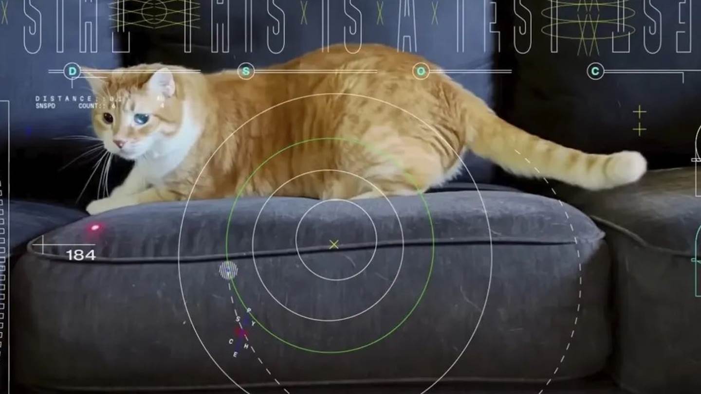 Η NASA μετέδωσε βίντεο μίας γάτας από το διάστημα
