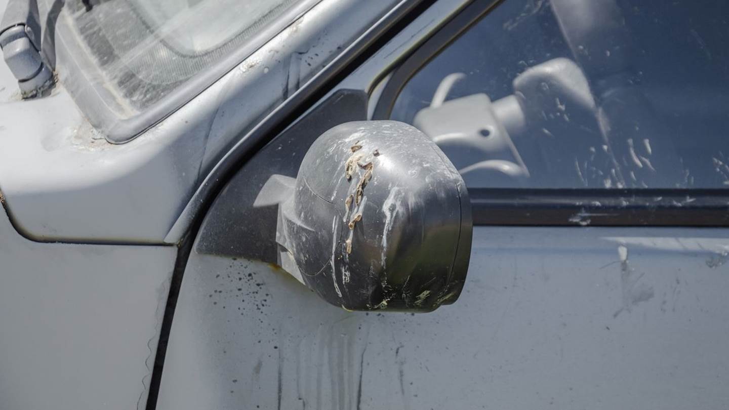 Το κόλπο για να μη σου λερώνουν τα πουλιά το αυτοκίνητο