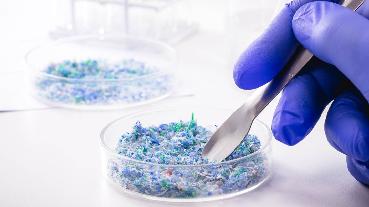Έρευνα: Αυξάνονται τα μικροπλαστικά στους εγκεφάλους μας-τι σημαίνει για την υγεία μας