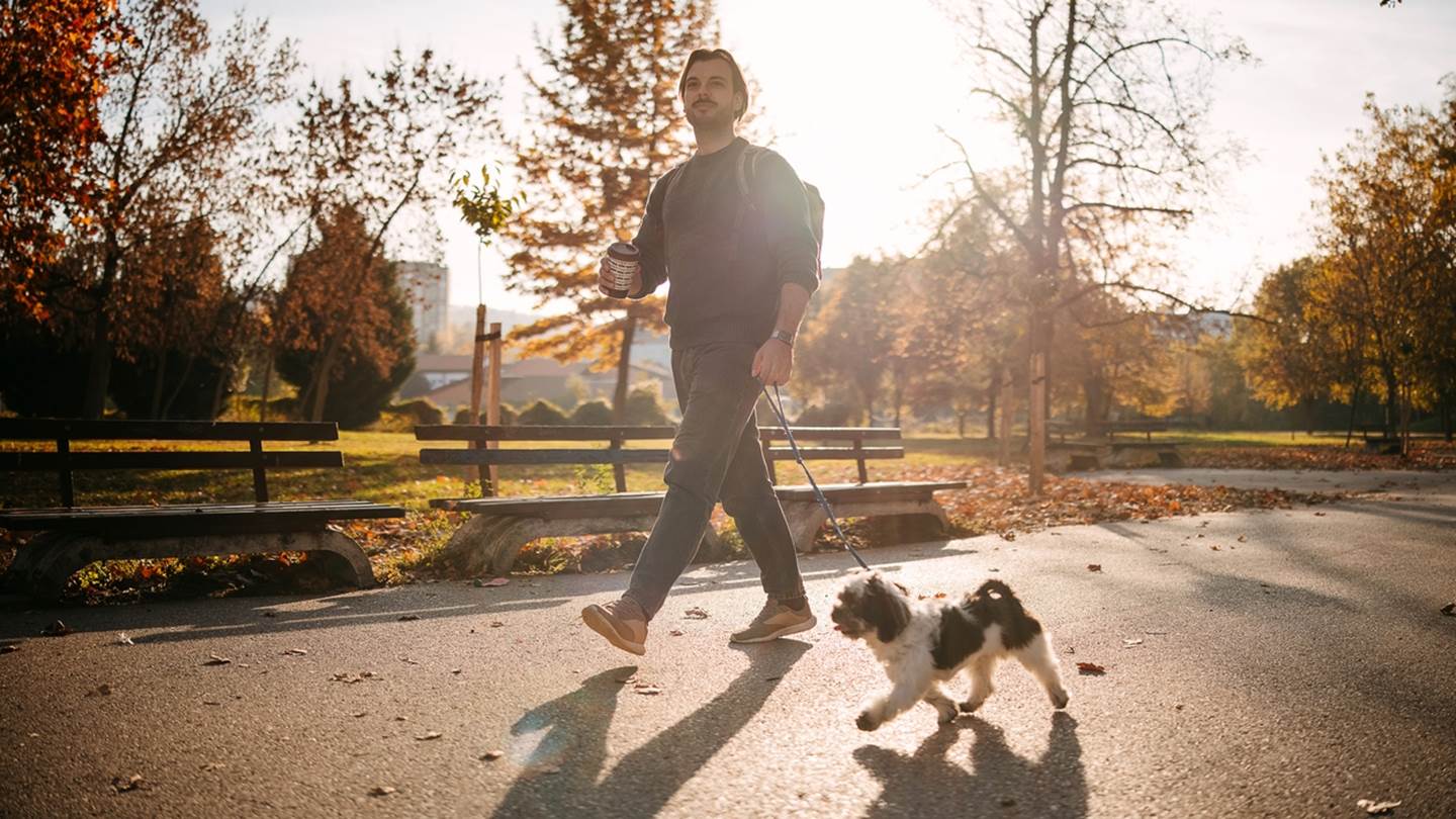 Ποια είναι η καλύτερη ώρα για να βγάλεις τον σκύλο σου βόλτα
