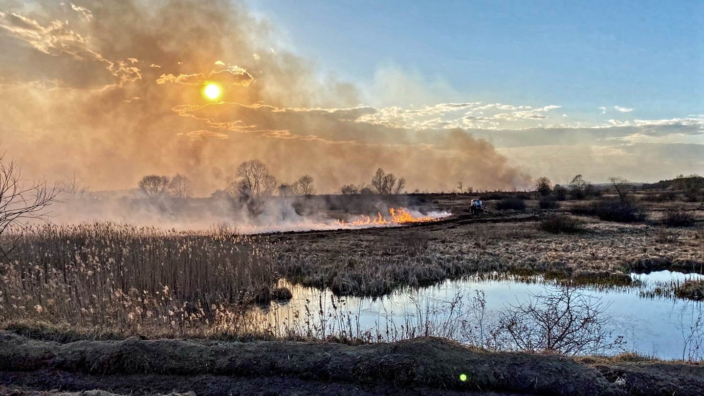 Ηφαίστεια, πυρκαγιές, ραδιενέργεια και ακρίδες