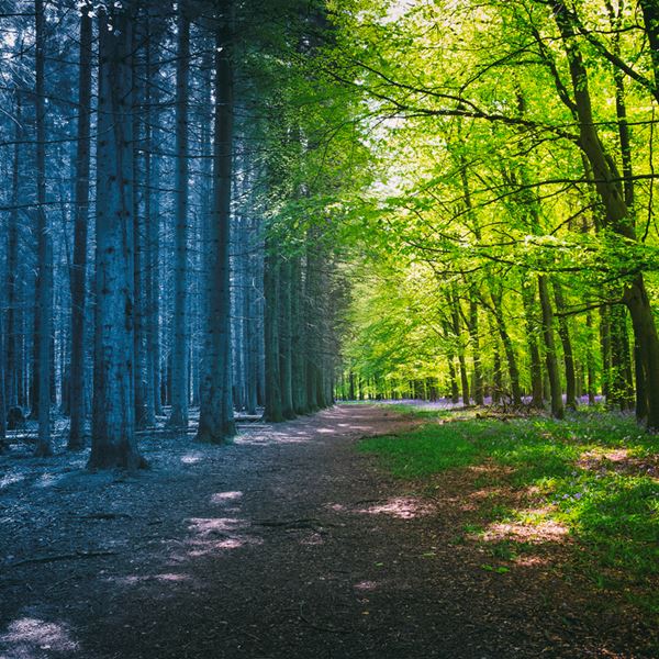 Η κλιματική αλλαγή θα εξαφανίσει την άνοιξη και το φθινόπωρο